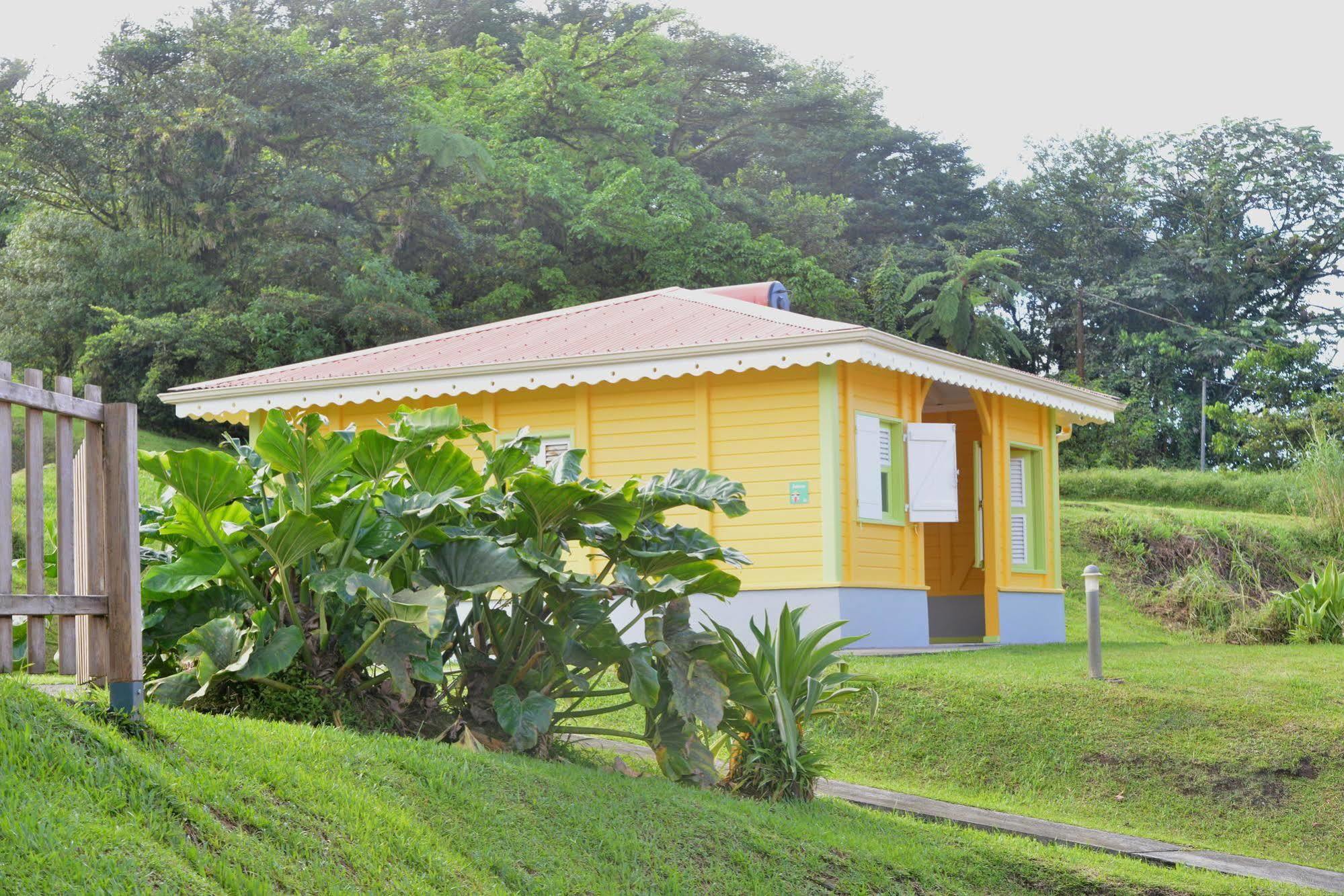 Auberge De La Montagne Pelee Hotel Saint-Pierre 外观 照片