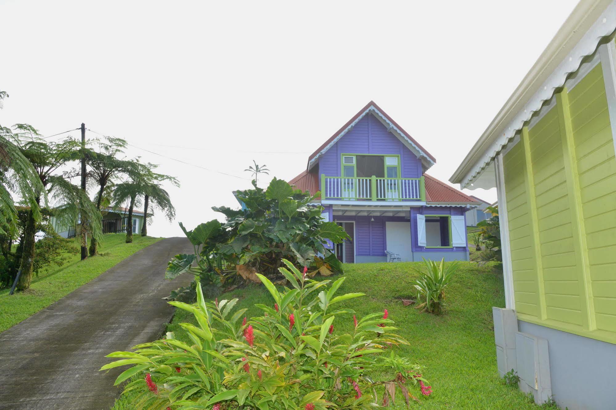 Auberge De La Montagne Pelee Hotel Saint-Pierre 外观 照片